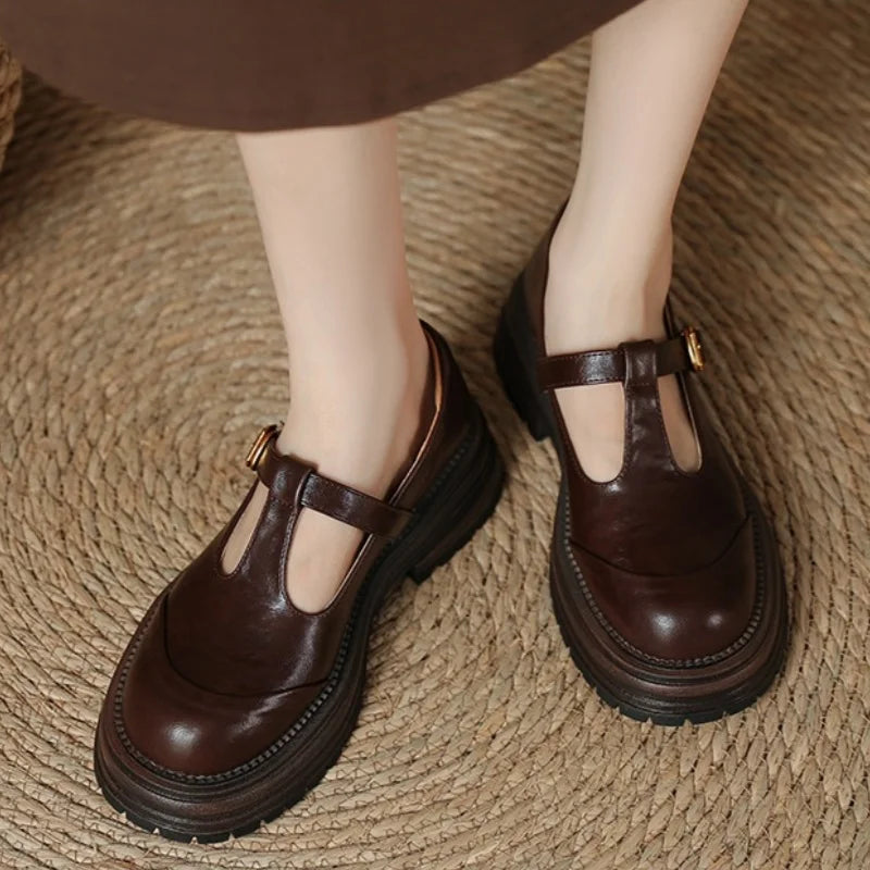Women's Retro T-Strap Platform Mary Jane – Closed Toe Chunky Heel Buckle Shoes