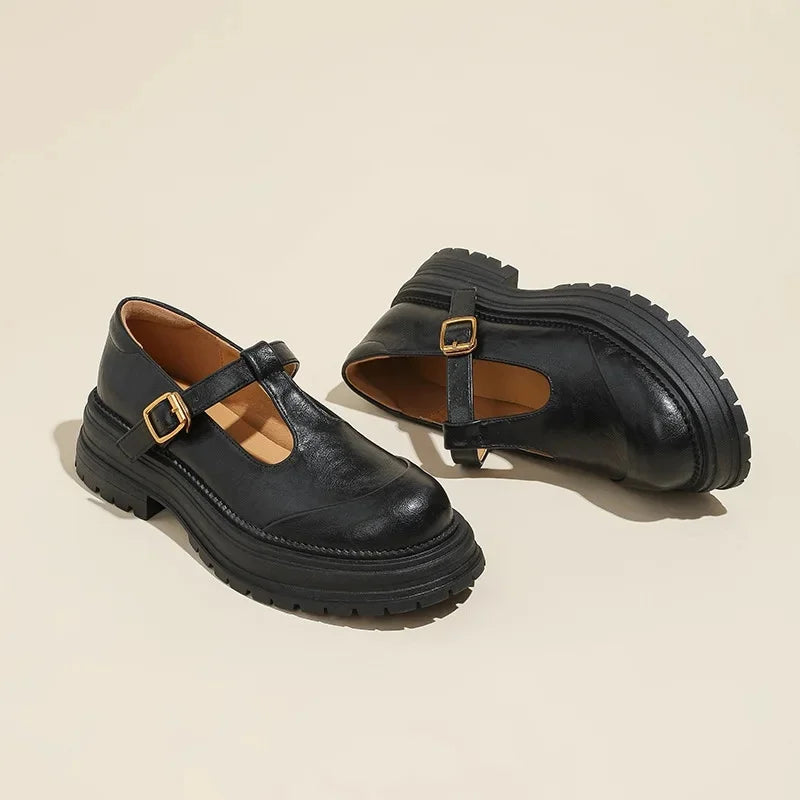 Women's Retro T-Strap Platform Mary Jane – Closed Toe Chunky Heel Buckle Shoes